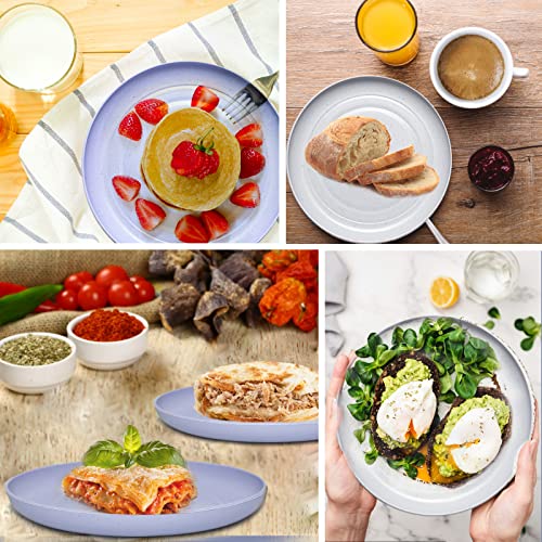 DAPIPIK 6 PACK 6 Inches wheat straw plates, Unbreakable Deep Dinner Plates, Plastic Plates Reusable, Assorted Colors Dinnerware Sets, Microwave & Dishwasher Safe