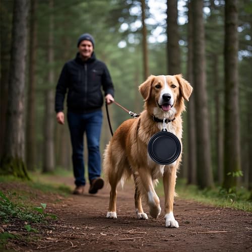 Dog Bowl Pet Collapsible Bowls, 2 Pack Collapsible Dog Water Bowls for Cats Dogs, Portable Pet Feeding Watering Dish for Walking Parking Traveling with 2 Carabiners (Black+Pink, Medium) - color: Black+Pink, size: Medium