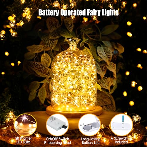 6 Pack Fairy Lights Battery Operated with Timer 2PCS Remote 6.5ft 20LED Warm White Twinkle Lights Waterproof Silver Wire Fireflies Lights DIY Mason Jar Wedding Party Christmas Centerpiece Table Deco - color: Warm White, size: 6.5ft