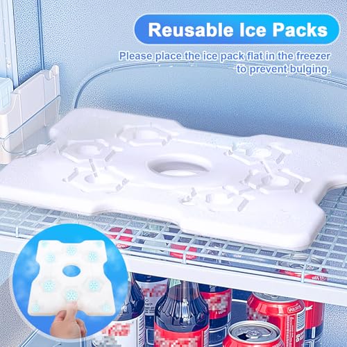 Portable Snackle Box Container with Ice Pack,Snack Container Divided Serving Tray Insulated Bag, Cooling Travel Snacklebox with Lid & Handle,8 Compartment Chilled Serving Tray for Beach,Outdoor,Picnic - color: White