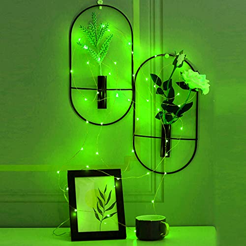Ariceleo Mini St. Patrick's Day Fairy Lights Battery Operate, 4 Pack Copper Wire 3*AAA Battery Powered Led Starry Fairy String Lights for Bedroom, Christmas, Party, Wedding, Decoration(5m/16ft Green) - color: Green, size: 4 Pack