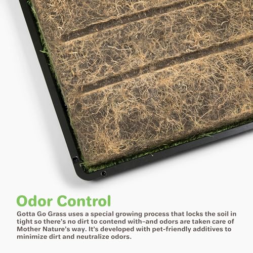Gotta Go Grass - Real Dog Grass for Pet Training, Natural Grass Patch Potty, Dog Grass Pad Refill, Puppy Potty Training, Dog Accessories, Perfect Indoor/Outdoor Portable Potty (2 Pack, 16" x 24") - size: 2 Pack, Refill (no tray)