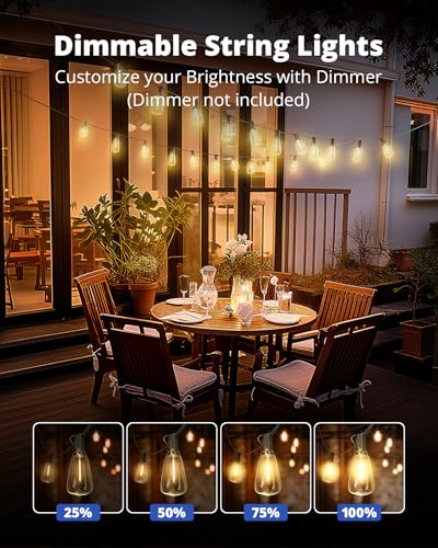 VIPAR Outdoor String Lights 60FT LED Patio Lights LED Waterproof with 26+2 Shatterproof ST38 Edison Bulbs, 2700K Connectable Outside Hanging Light for Porch, Garden, Backyard, Deck, Balcony, Decor - size: 60FT