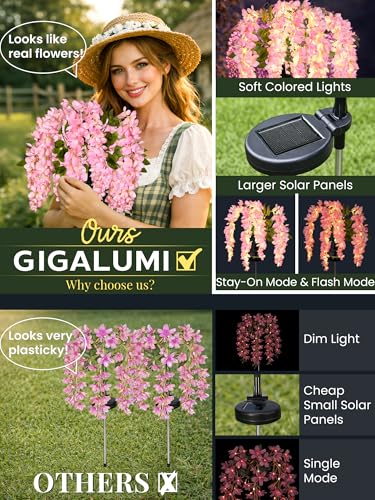 GIGALUMI Solar Lights Outdoor for Garden Decor, 3 Pack Solar Flower Lights Waterproof, 2 Lighting Modes Wisteria for Pathway,Yard, Patio Decoration, Gardening Gifts for Women (Pink) - color: Pink