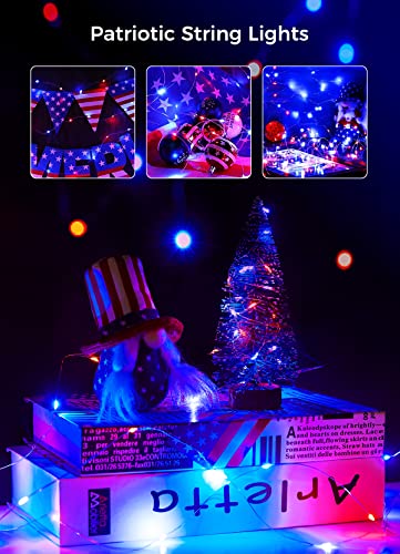 Brightown 4th of July Decor Patriotic Fairy Lights, 7 FT. Silver Wire Red White Blue String Lights, Firefly Starry Moon Lights, Micro LED Mini Fairy Lights for Jars DIY Picture Wedding - color: Red White & Blue, size: 12 Pack
