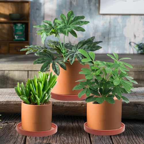 2 Pack Ceramic Plant Saucer Pot Tray 6 Inch Terracotta, Planter Saucers 6 7 8 9 10 11 12 15 Inch, Durable Sturdy Flower Drainage drip Water Tray for Glazed Pots Base (6.4 Inch- Red Terracotta) - color: Terracotta, size: 6.4in 2pack