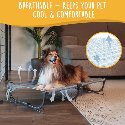 CANINE CANYON Daisy Cot, Medium Foldable Elevated Dog Bed, Portable Raised Outdoor Folding Dog Cot, Cooling, Chew Proof, Waterproof, Heavy Duty Up to 160 lbs for Camping/Home, Grey, 32"x 19"x6" - color: Gray, size: Medium