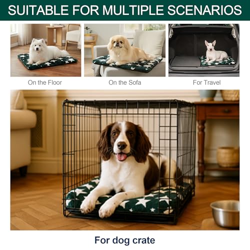 Washable Dog Bed Mat with Anti-Slip Bottom, Deluxe Plush Memory Foam Crate Pad & Waterproof Outdoor Kennel Mat for Dogs & Cats-Durable Crates Beds, Large Medium Small Puppy Size36 x 24",Green - color: Green-Star, size: Upgraded L（36" L x 24" W x 1.5" Th）