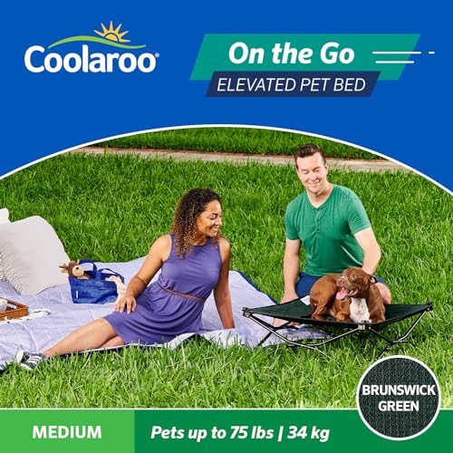 Coolaroo On-The-Go Elevated Dog Bed - Foldable Pop-Up Travel Dog Bed with Breathable, Moisture-Resistant Fabric, Carry Bag Included, Lightweight & Portable, Brunswick Green, Medium - color: Brunswick Green, style: Medium