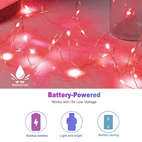 Brightown 12 Pack LED Fairy Lights, Waterproof, Red, 7 Feet, 20 LEDs, Battery Operated, Flexible Silver Wire, Safe, Energy Saving, Long-Lasting, Indoor and Outdoor Use - color: Red, size: 12 Pack