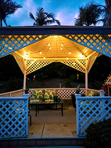 Brightech Ambience Pro Solar Powered Outdoor String Lights - Commercial Grade Patio Lights with 48 Ft Edison Bulbs - Shatterproof LED Solar Lights for - 1W LED, Warm White Light - style: Bright (1W) Manual Control 48 FT