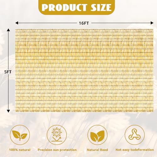 KOIUEYW Bamboo Reed Fencing, Natural Decorative Bamboo Privacy Fence 5ft High, Reed Curtains for Patio Garden Balcony Outdoor Privacy Screen, 5 x 16 FT - color: Natural, size: 5 x 16 FT