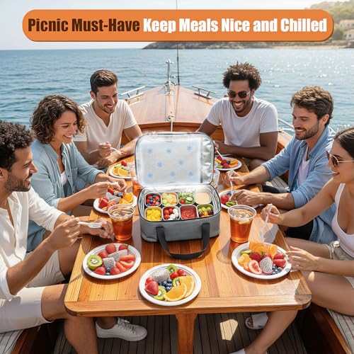 Snackle Box Container with Ice Pack, 304 Stainless Steel Divided Serving Tray, Snacklebox with Insulated Bag, 8 Compartment Platter Box with Lid and Handle for Beach, Road Trip, Boat Days, Pool Party - color: Silver White