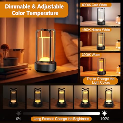 Portable Table Lamp for Outdoor Indoor: Cordless Rechargeable Desk Lamp with 3 Color Stepless Dimmable - Metal Battery Operated Lantern Light for Bedroom/Bar/Coffee Shop/Camping (Black) - color: Black