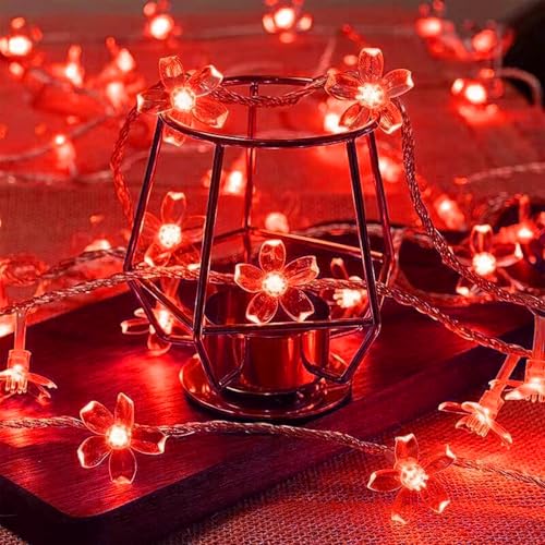 Battery Lighted & USB Plug in Fairy Flower String Lights, 10ft 30 LED Cute Cherry Blossom Lights with Timer Indoor Bedroom Party Wedding Christmas Easter Tree Branch Hanging Decorations (Red) - color: 10ft Red Flower Lights