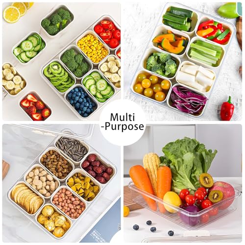 Snack Box Container with Insulated Cooler Bag, Divided Serving Tray with Lid and Handle Beach Essentials, Snackle Box Veggie Fruit Tray with 8 Compartments & 8 Forks & 2 Spoon - size: Medium