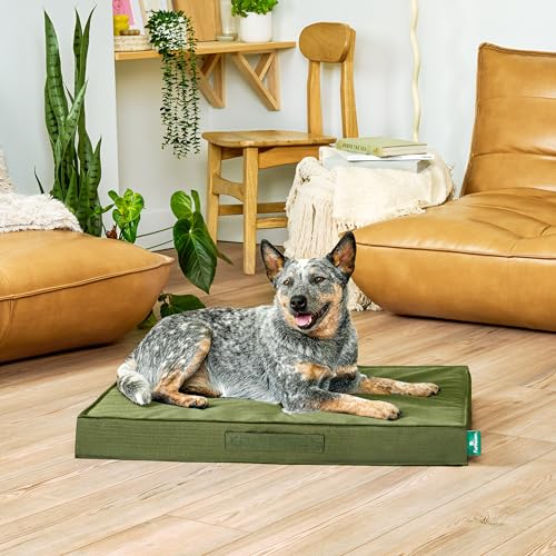 FurHaven Gridded Ripstop All-Weather Deluxe Orthopedic Mattress Pet Bed, Olivine, Medium - color: Olivine, size: Medium