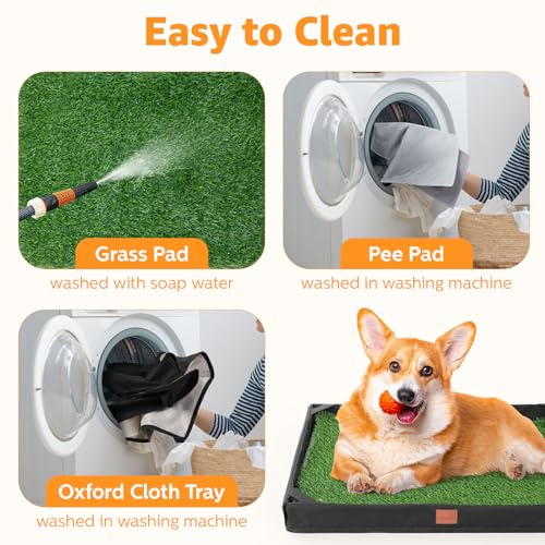LOOBANI Dog Grass Pad with Tray, Lightweight Oxford Cloth Tray for Potty Training, 21.6 * 33.4 in
