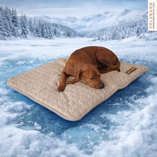 Pelsbarn Dog Cooling Mat- Ice Silk Summer Comfort, Self Cooling, Non-Slip Dog Pad, Durable & Washable, Mat for Large Dogs 25 x 37, Support Shelter Dogs with Every Purchase (Beige) - color: Light Beige, size: Large