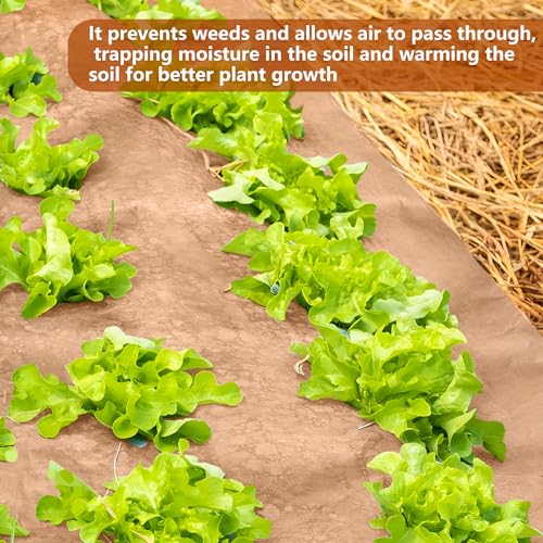 DECOHS 3 x 50 Ft Biodegradable Paper Weed Barrier- Heavy Duty Biodegradable Garden Bed Grass- Garden Paper Weed Control Barrier Weed Grass Blocker for Outdoor Garden Lawn - color: 3x50ft