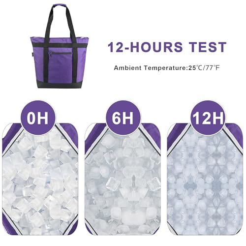 BeeGreen Cooler Bag Soft Insulated Tote for Beach Travel Grocery Shopping Lunch Portable Large Ice Coolers with Handle Hard Freezer Bags with Zippered Top Foldable Leakproof Delivery Totes Gray - color: Gray