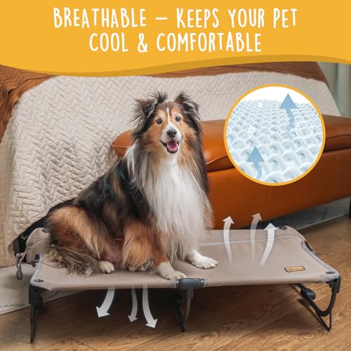 CANINE CANYON Daisy Cot, Medium Foldable Elevated Dog Bed, Portable Raised Outdoor Folding Dog Cot, Cooling, Chew Proof, Waterproof, Heavy Duty Up to 160 lbs for Camping/Home, Brown, 32"x 19"x6" - color: Brown, size: Medium