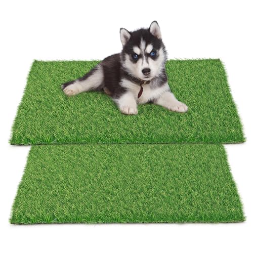 30 x 20 inches 2 Pack Fake Grass Pee for Dogs Artificial Grass Rug Pad for Puppy Potty Washable Grass Mat for Pet Training with Drainage Hole - size: 30 x 30 Inch (Pack of 2)