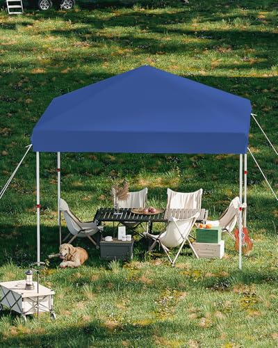 GarveeLife 10x10 Pop Up Canopy with One Button Push Setup - Heavy Duty Outdoor Canopy Tent with Portable Roller Bag - 3 Adjustable Height, 4 Weight Bags, 8 Stakes & 4 Guy Ropes Included, Blue - color: Blue