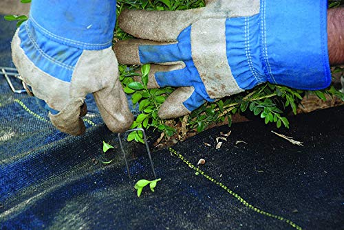Dewitt 6-Pack Pro-5 Weed Barrier Fabric 5 oz, 4 x 250 Feet – Heavy-Duty Woven Landscape Ground Cover Mat for Raised Garden Bed, Greenhouse Gardening, Outdoor Landscaping, and Commercial Planting - size: 3 Pack, style: 6' x 250'