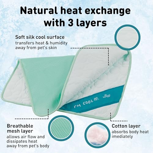 INSPECTOR TAIL Dog Cooling Mat - No Freeze Needed, Self-Cooling Pad for Large Dogs, Washable Portable for Crate Kennel Car Sofa Bed Floor, Indoor Outdoor Summer Use, 38"x27" with Carry Bag - size: Mint- 38.98" x 27.17