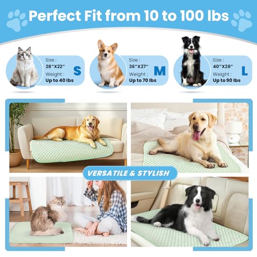 Mora Pets Dog Cooling Mat Instant Self Cooling Pad for Dogs & Cats Breathable Washable Summer Pet Cool Mat Indoor Outdoor, Puppy Cold Blanket for Floor Crate Car Travel Use Medium 36'' x 27'' Green - color: Light Green, size: 36'' x 24'' (Medium)