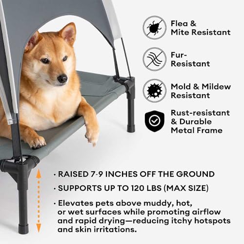 FUNNY FUZZY Elevated Dog Bed with Canopy for Small Dogs, 24"x18"x7" Cooling Outdoor Pet Cot with UV Protection, Breathable Mesh for Cooling, Indoor & Outdoor Use for Dogs, Grey - color: Grey, size: Small
