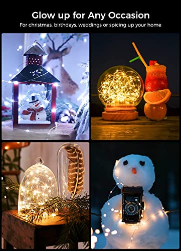 Brightown 12 Pack Led Fairy Lights Battery Operated String Lights Waterproof Silver Wire 7 Feet 20 Led Firefly Starry Moon Lights for DIY Wedding Party Bedroom - color: Warm White & White, size: 12 Pack