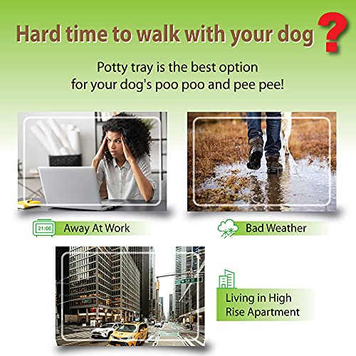 BANU Puppy Pee Pad Holder Indoor Outdoor Dog Potty Toilet Training Tray 20" x 16" for Small and Medium Dogs (Ivory)