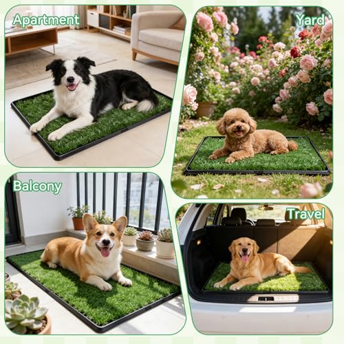 Dog Grass Pad with Tray,20"x25" Dog Litter Box, Artificial Turf Potty System with 2 Reusable Grass Patches + Washable Pee Pads, Portable Indoor Outdoor for Balcony Patio Apartment - size: Medium-2 Grass Pad with Changing pad