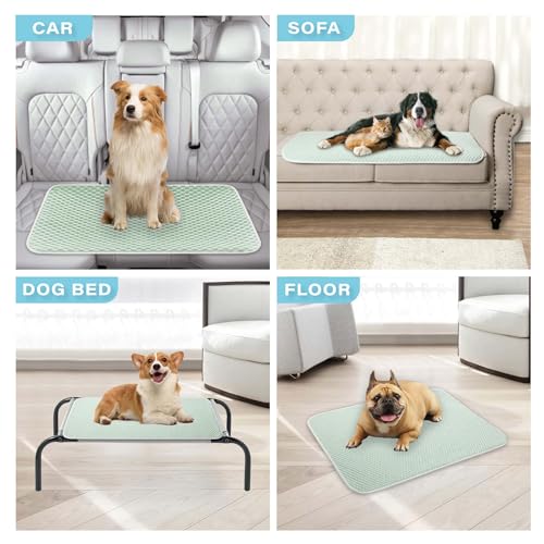 MICROCOSMOS Pet Cooling Mat & Sleeping Pad- Breathable Bubble Surface, EZ Clean. Keep Cooling for Pets, Kids and Adults in Summer.(Green, 48" x 24") - color: Green, size: 48" x 24"