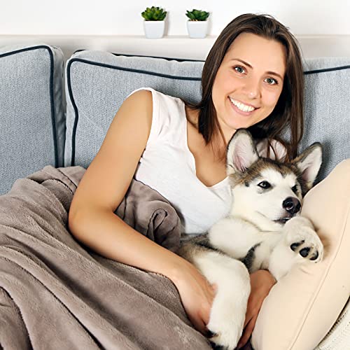 Waterproof Reversible Dog Blanket 60x70 Inches for Couch Bed Car – Soft Sherpa Fleece Pet Throw Furniture Protector Cover - Washable Pet Blanket for Dogs Cats Home Décor by PETMAKER (Gray) - color: Gray, size: Medium