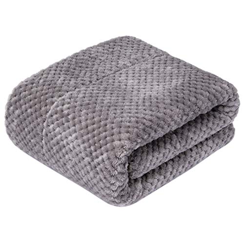 DW-Flint Gray Plush Fleece Receiving Blanket for Dog, Cat, Couch, Sofa, Travel and Outdoor, Camping (24" x 32") - color: Dw-flint Gray, size: Blanket (24" x 32")