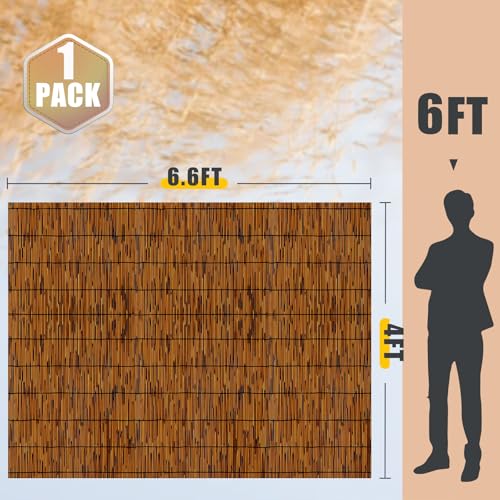 Natural Reed Fencing,4FT X 6.6T Reed Screen Balcony Reed Fence Bamboo Screen Fencing for Outdoor Backyard Patio（Brown） - size: 1 Pack 4FT×6.6FT
