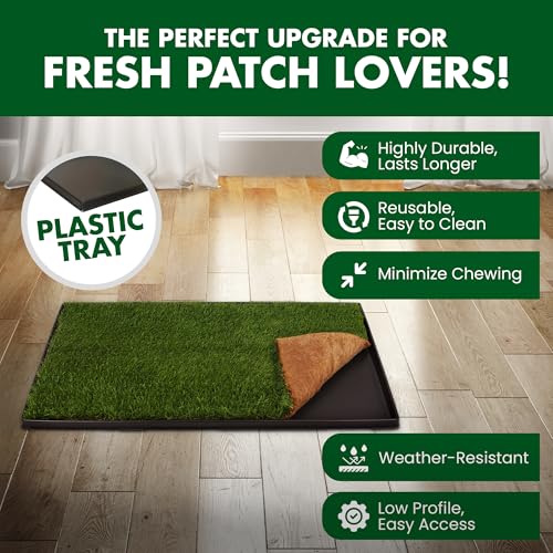 Fresh Patch Plastic Tray for XL Real Grass Pee and Potty Training Pads for Large Dogs and Multi-Dog Households – 4 ft x 2 ft Multi-Purpose and Reusable Crate Tray for Indoor and Outdoor Use