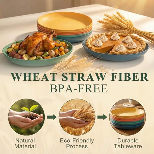 Large Wheat Straw Plates 11 Inch, Unbreakable Dinner Plate Set for 8, Plastic Plates Reusable, Microwave and Dishwasher Safe Kitchen Plate for Holiday, Party, BBQ - Multi - color: Multicolor, size: 11 Inch