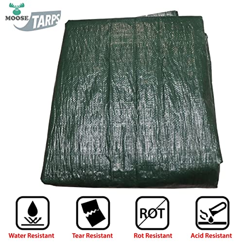 Reversible Heavy Duty Poly Tarp for Wood Piles, Firewood Piles, Construction & Ground Covering - Tear & Water Resistant - 6 x 24 Foot Indoor/Outdoor Tarp, Green and Brown - size: 6' x 24'