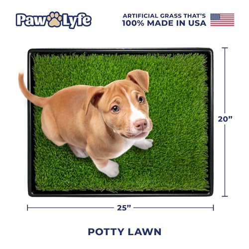 PawLyfe Potty Lawn - 20"x25" Artificial Grass Patch with Tray - Indoor and Outdoor Reusable Grass Pee Pad for Dog Training - Non-Toxic - Easy to Clean - Perfect for Apartments and on Balcony or Porch