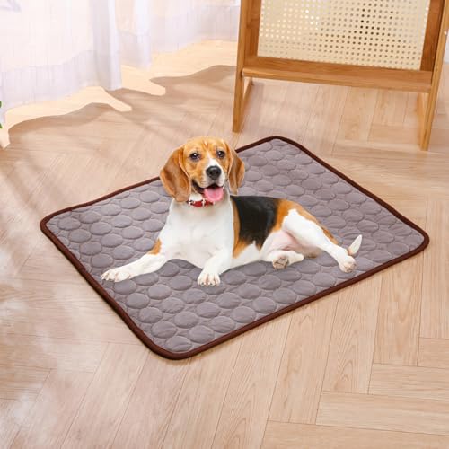 Puppy Cooling Pad - Pet Summer Mat, Gel Comfort | Pressure-Activated Dog Cushion, Portable Sofa Blanket, Washable Crate Rest, Lightweight Kennel for Hot Weather - color: Coffee, size: XS