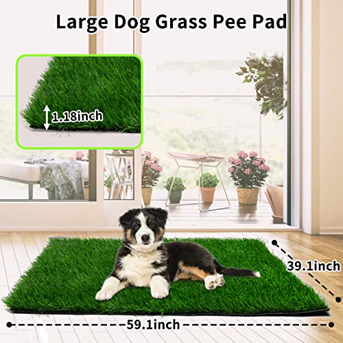 Grass Pad for Dogs 59.1 x 39.4 inches, Strong Absorbency Soft and Real Grass for Pets Potty Training, Easy to Clean Fake Grass for Dog Indoor Outdoor Use (1 Pack) - size: 59.1x40 Inch