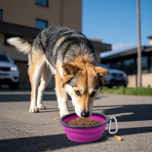 Dog Bowl Pet Collapsible Bowls, 2 Pack Collapsible Dog Water Bowls for Cats Dogs, Portable Pet Feeding Watering Dish for Walking Parking Traveling with 2 Carabiners (Pink+Purple, Medium) - color: Pink+Purple, size: Medium