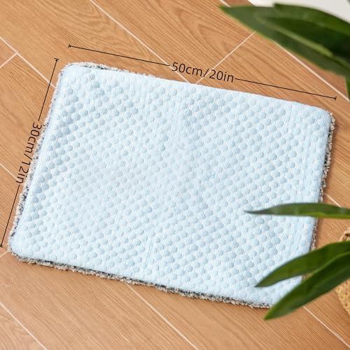 Two Uses'Cat Mat,Self Warming&Cooling Cat Mat.12 * 20in- Cooling Cat Pad,Small Animal with Free Ice Gel Bag,Two uses,Self Warming,Cats self Heating pad,Machine Washable - color: Light Blue+Gel ice pack, size: Small