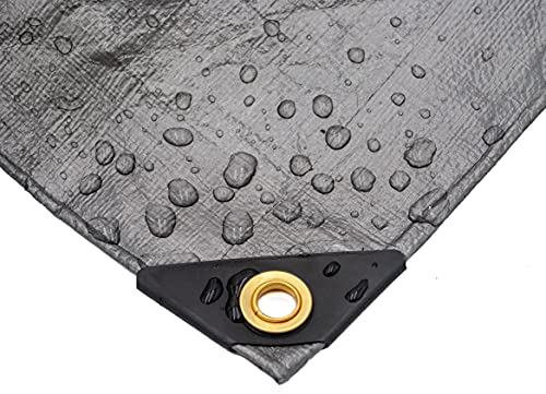 Heavy Duty Silver Tarp 6 OZ., 6'x10'