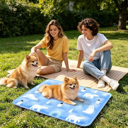 Dog Cooling Pad - Gel Cooling Pet Pad | Pressure Activated Chill Crate Mat | 60x50cm Polar Blue + Ice Bear Design | Waterproof Polyester & Polymer Gel | for Travel Car Seat & Sofa - color: B