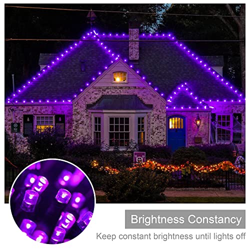 weillsnow 164FT 500 LED Purple Christmas Lights, 8 Modes Waterproof Plug in String Lights for Halloween Christmas Indoor Outdoor Yard Party Wedding Garden Home Decorations (Purple, 164FT) - color: Purple, size: 164FT